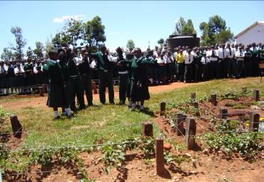 Students and community members near garden plots